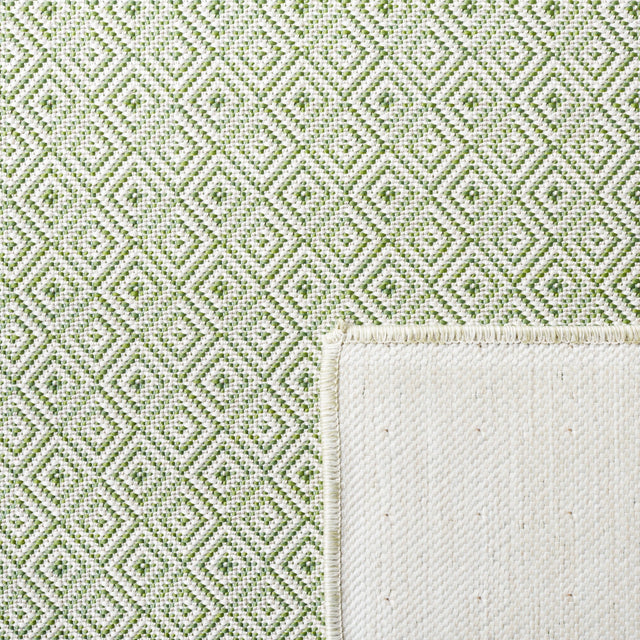 Safavieh Hampton Htn230Y Green Rug - Safavieh - htn230y - 4
