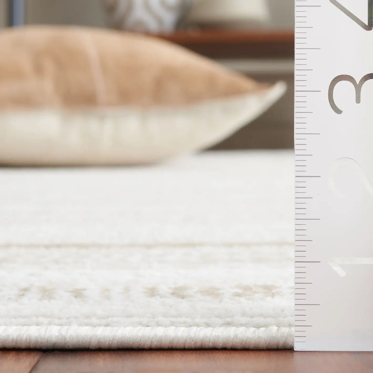 Safavieh Hanna 4'-0" x 6'-0" Rug in Ivory / Beige