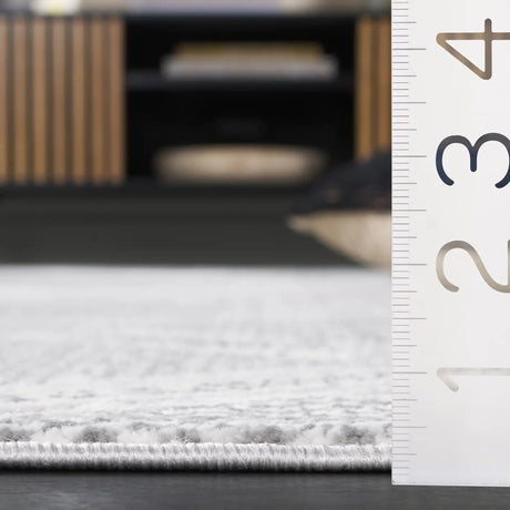 Safavieh Hanna 4'-0" x 6'-0" Rug in Grey / Ivory