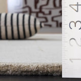 Safavieh Harvest 5'-0" x 8'-0" Rug in Beige / Ivory