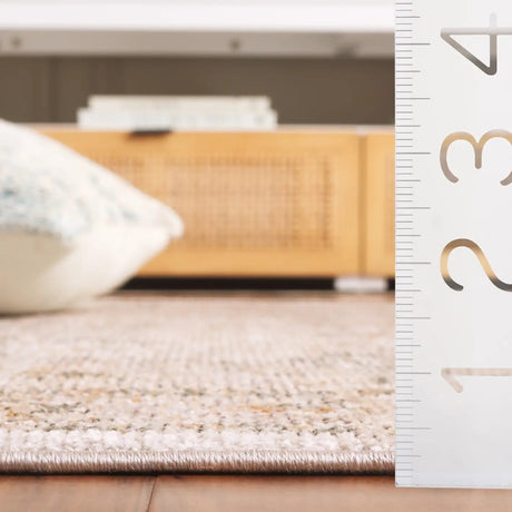 Safavieh Hazel 500 4'-0" x 6'-0" Rug in Taupe / Green