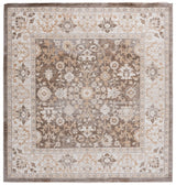 Safavieh Hazel 500 6'-0" x 6'-0" Rug in Brown / Ivory