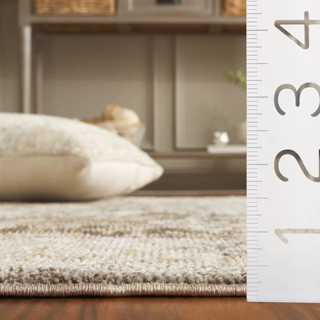 Safavieh Hazel 500 4'-0" x 6'-0" Rug in Brown / Ivory