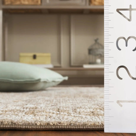 Safavieh Hazel 500 4'-0" x 6'-0" Rug in Brown / Ivory