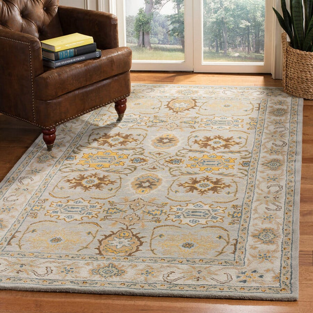 Safavieh Heritage Hg734C Light Grey / Grey Rugs - Safavieh - hg734c - 2