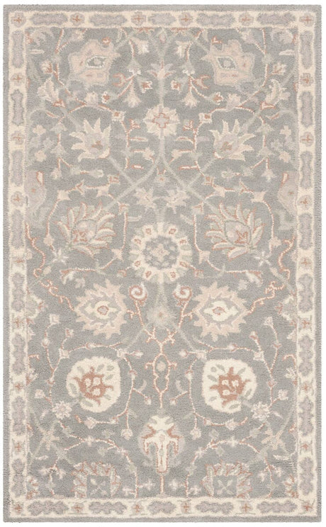 Safavieh Heritage Hg824A Grey / Ivory Rugs - Safavieh - hg824a - 6r