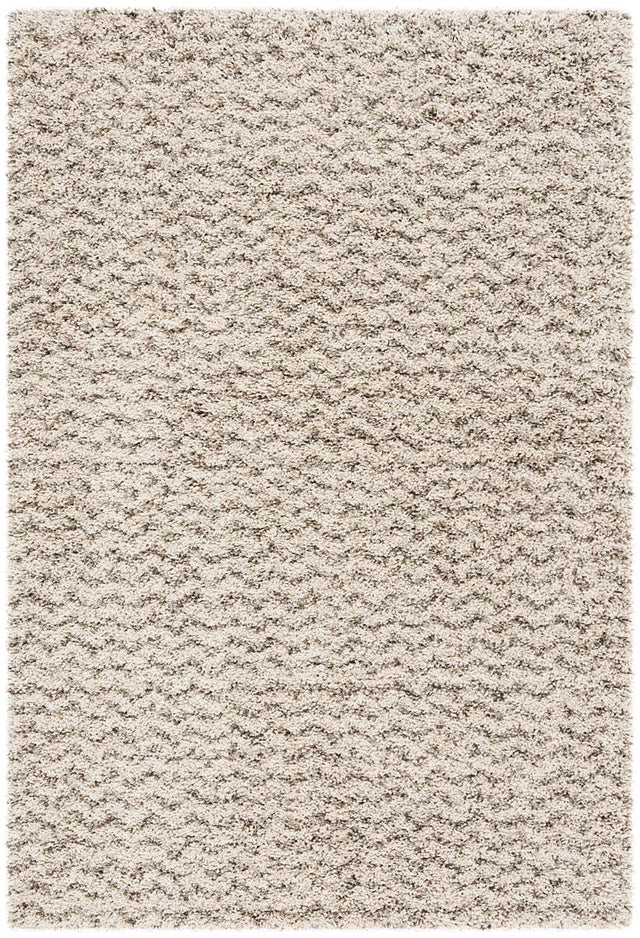 Safavieh Hudson Shag Sgh330A Ivory/Grey Rug - Safavieh - sgh330a - 5r