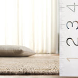 Safavieh Izmir 6'-0" x 9'-0" Rug in Ivory / Grey