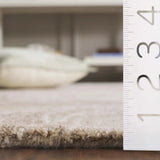 Safavieh Jardin 4'-0" x 6'-0" Rug in Ivory / Beige