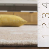 Safavieh Jardin 4'-0" x 6'-0" Rug in Rust / Ivory