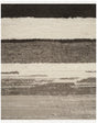 Safavieh Kenya 10'-0" x 14'-0" Rug in Ivory / Grey
