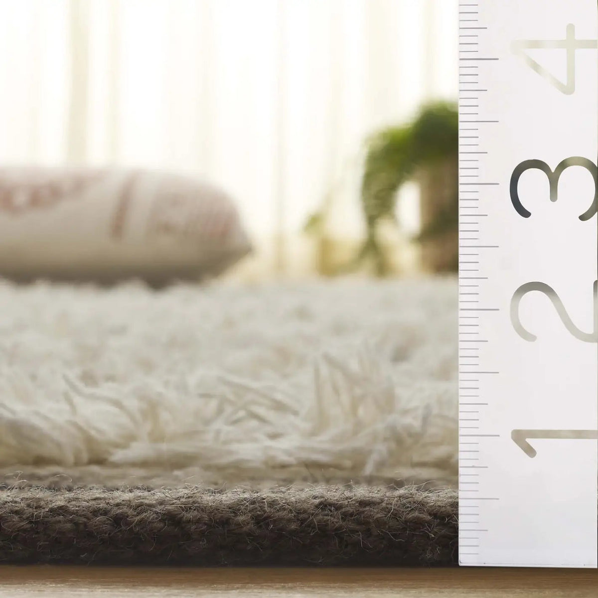 Safavieh Kenya 4'-0" x 6'-0" Rug in Brown / Ivory