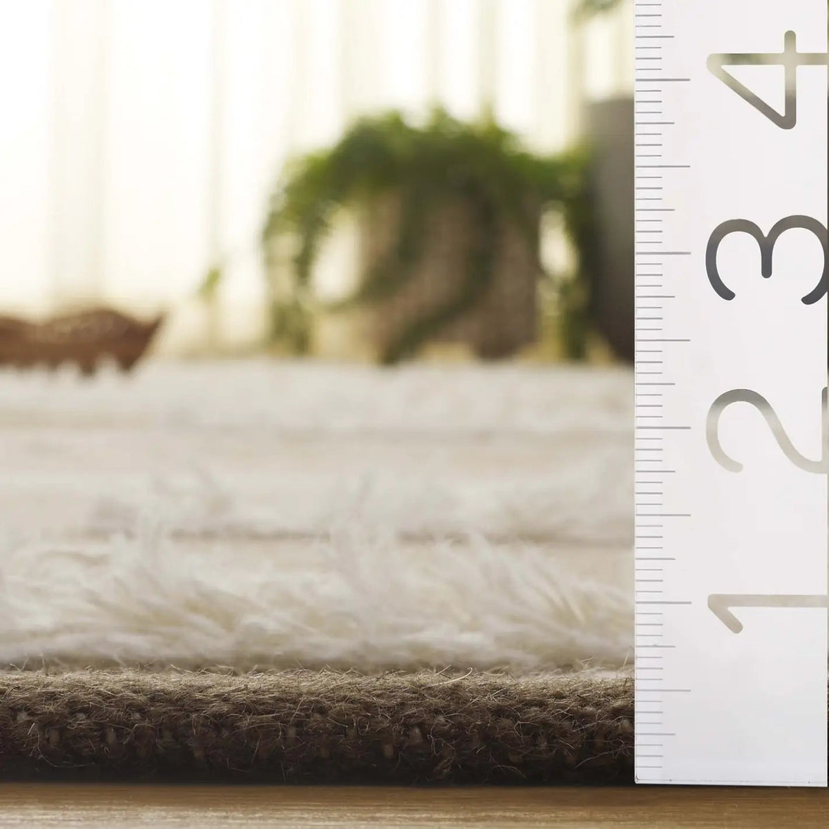 Safavieh Kenya 4'-0" x 6'-0" Rug in Beige / Ivory