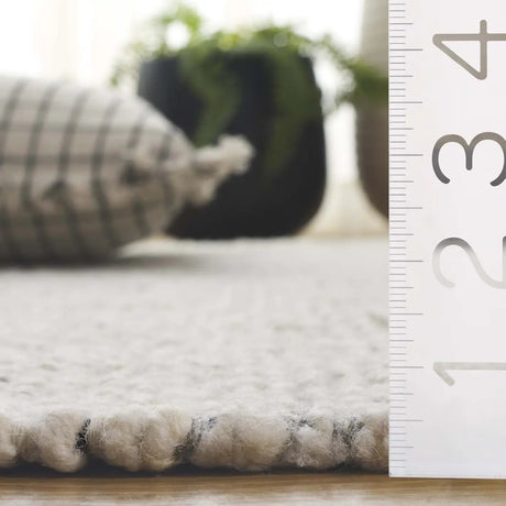 Safavieh Manhattan 4'-0" x 6'-0" Rug in Ivory / Black