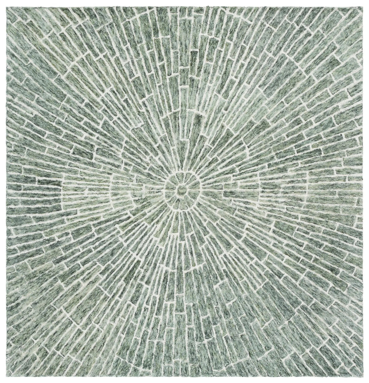 Safavieh Marquee 6'-0" x 6'-0" Rug in Green