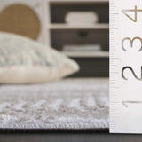 Safavieh Maya 4'-0" x 6'-0" Rug in Ivory / Beige