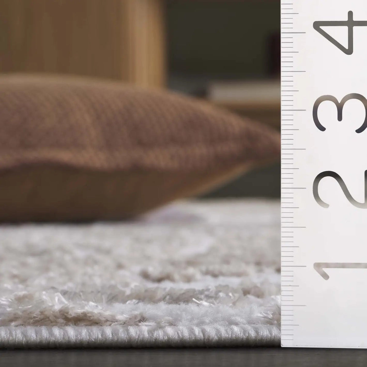 Safavieh Maya 4'-0" x 6'-0" Rug in Ivory / Beige