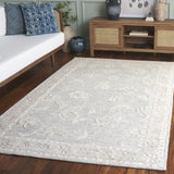 Safavieh Metro 4'-0" x 6'-0" Rug in Light Grey / Ivory