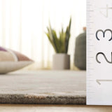 Safavieh Metro 4'-0" x 6'-0" Rug in Taupe / Pink