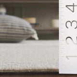 Safavieh Metro 4'-0" x 6'-0" Rug in Ivory / Light Blue