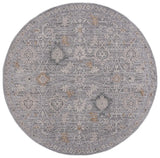 Safavieh Miranda 6'-6" x 6'-6" Rug in Grey / Ivory Beige