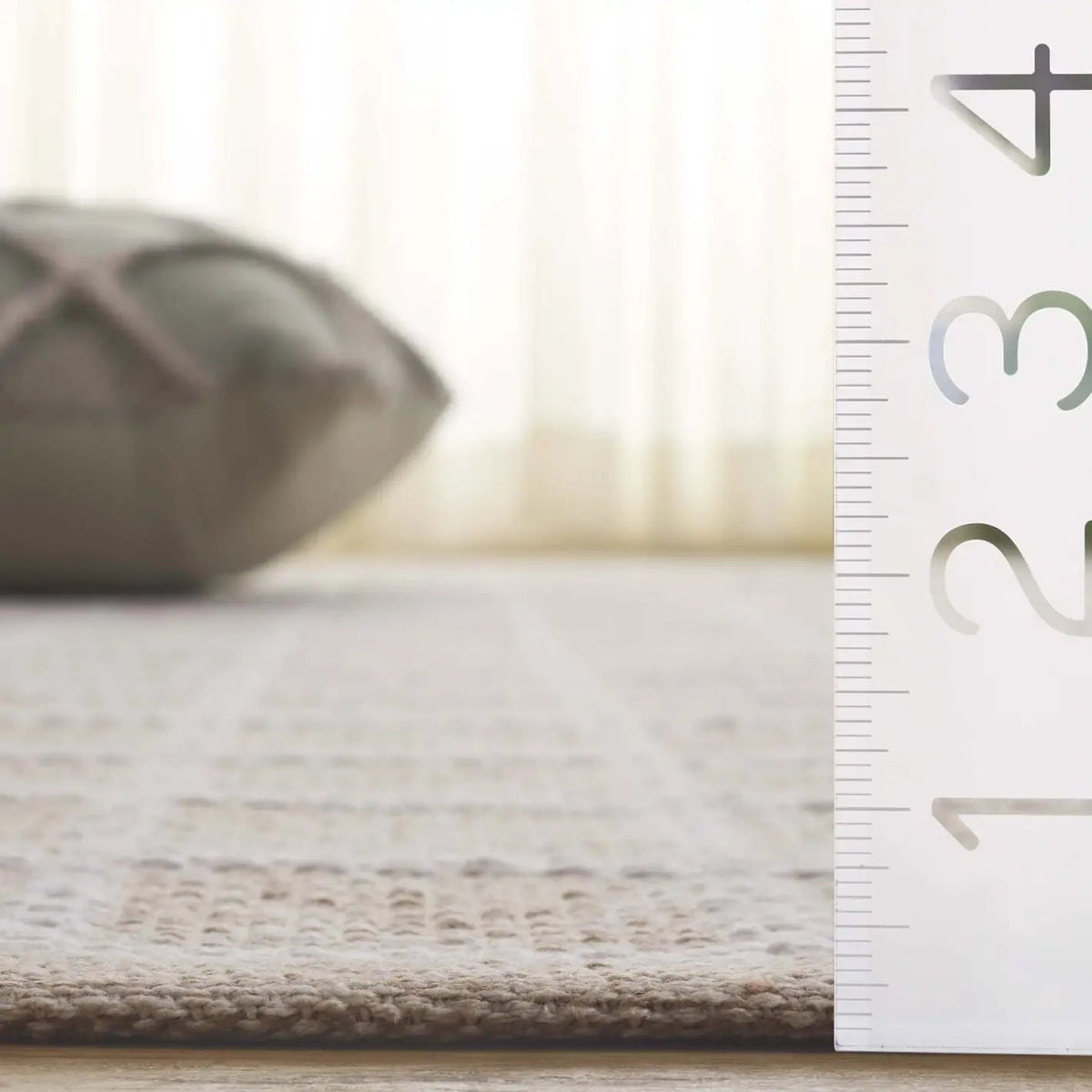 Safavieh Montauk 4'-0" x 6'-0" Rug in Beige / Ivory