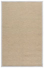 Safavieh Napa Performance Sisal  4'-0" x 6'-0" Rug in Natural / Ivory