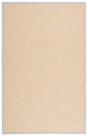 Safavieh Napa Performance Sisal  4'-0" x 6'-0" Rug in Natural / Beige