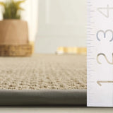 Safavieh Napa Performance Sisal  4'-0" x 6'-0" Rug in Natural / Beige