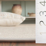 Safavieh Napa Performance Sisal  4'-0" x 6'-0" Rug in Natural / Beige