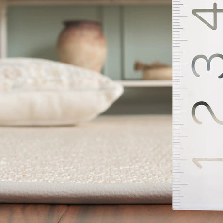 Safavieh Napa Performance Sisal  4'-0" x 6'-0" Rug in Natural / Beige