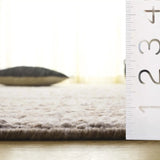 Safavieh Natura 5'-0" x 8'-0" Rug in Beige / Ivory