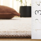 Safavieh Natura 4'-0" x 6'-0" Rug in Beige / Ivory