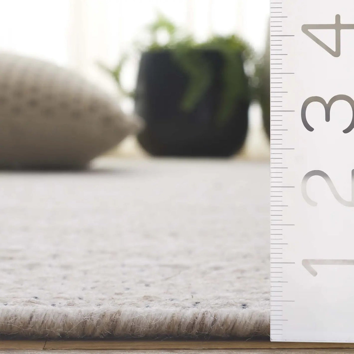 Safavieh Natura 4'-0" x 6'-0" Rug in Ivory / Beige