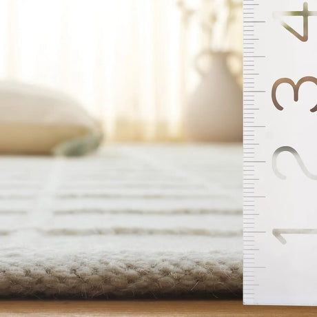 Safavieh Natura 4'-0" x 6'-0" Rug in Ivory