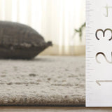 Safavieh Natura 4'-0" x 6'-0" Rug in Beige