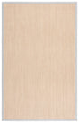 Safavieh Natural Fiber 4'-0" x 6'-0" Rug in Maize / Beige
