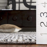 Safavieh Natural Fiber 4'-0" x 6'-0" Rug in Black / Ivory