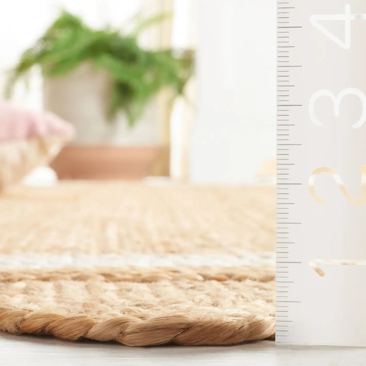 Safavieh Natural Fiber 4'-0" x 6'-0" Rug in Natural / Ivory