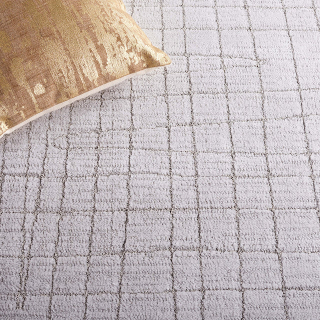 Safavieh Neptune Npe864F Light Grey/Grey Rug.