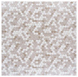 Safavieh Northport 800 6'-7" x 6'-7" Rug in Taupe / Ivory