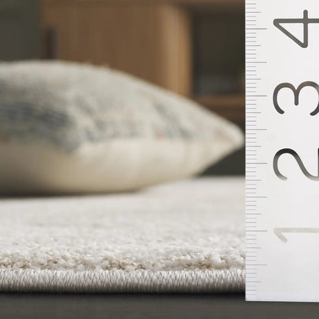 Safavieh Northport 4'-0" x 6'-0" Rug in Ivory / Grey