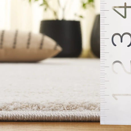 Safavieh Northport 4'-0" x 6'-0" Rug in Ivory / Beige