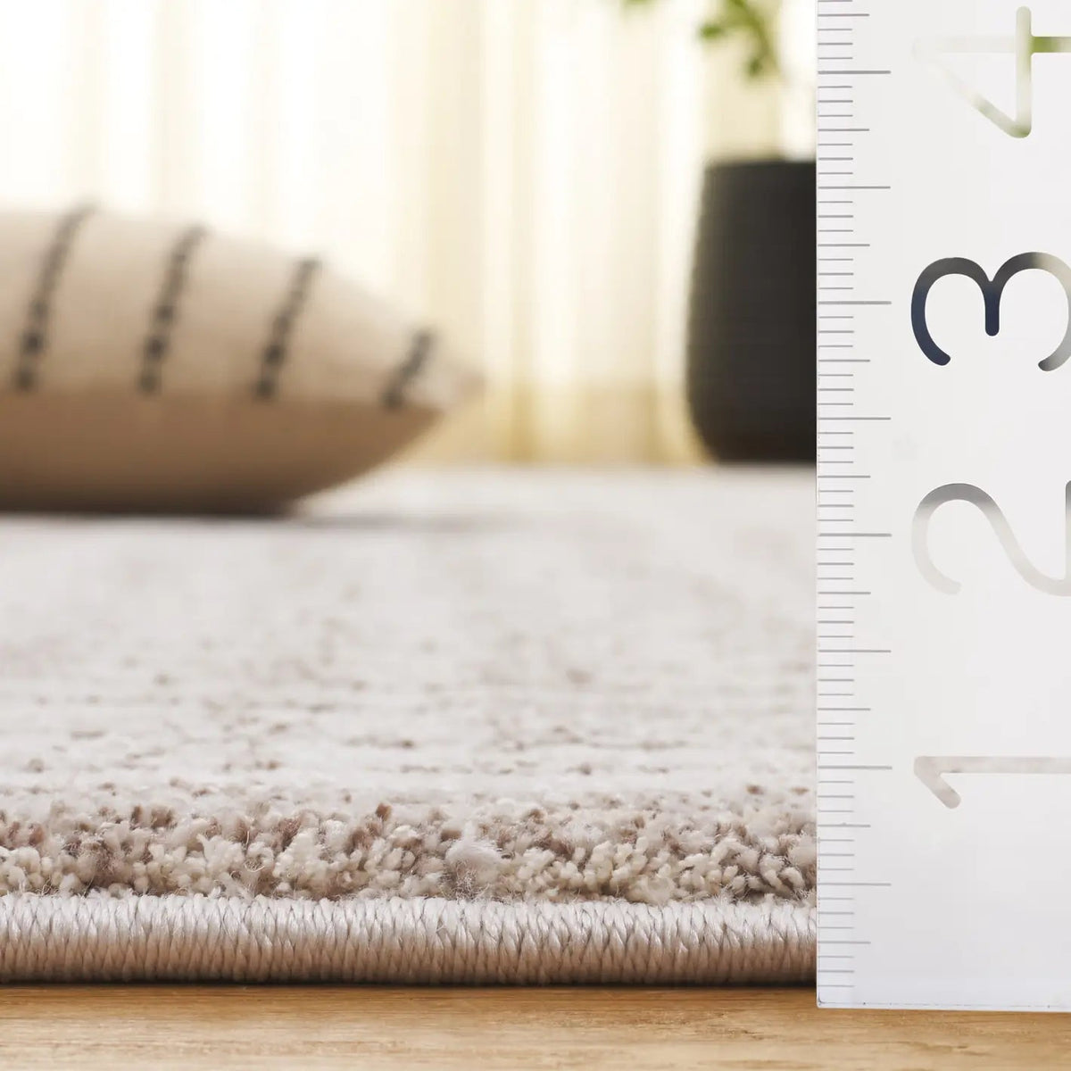 Safavieh Northport 4'-0" x 6'-0" Rug in Ivory / Beige