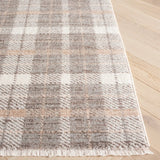 Safavieh Oxford Plaids 300 4'-0" x 6'-0" Rug in Light Grey / Grey