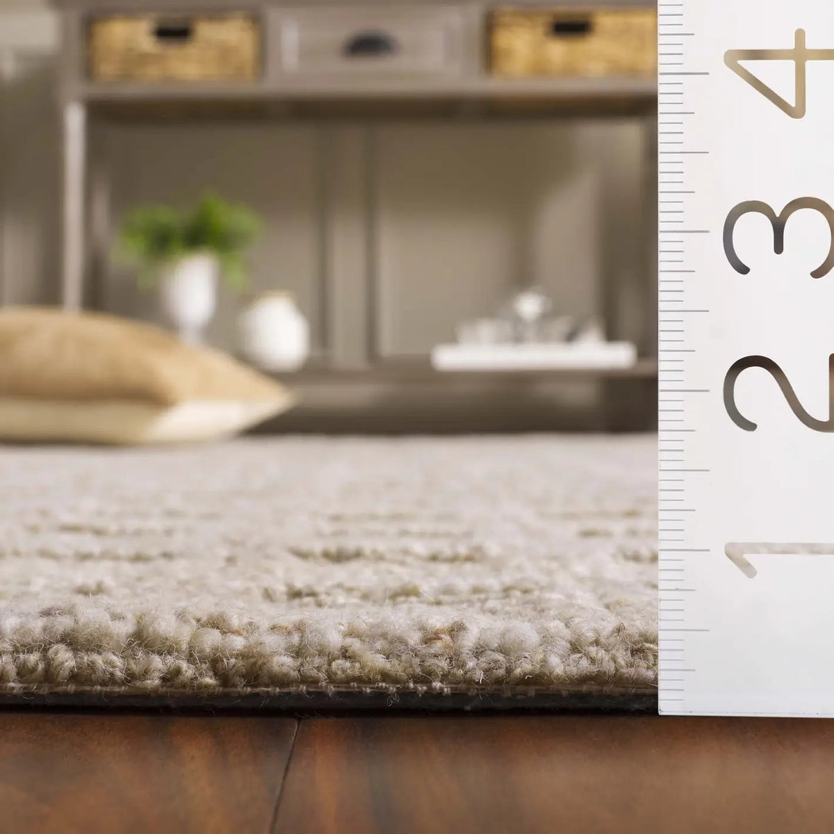 Safavieh Pine 4'-0" x 6'-0" Rug in Beige / Brown