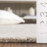 Safavieh Pine 4'-0" x 6'-0" Rug in Beige / Ivory
