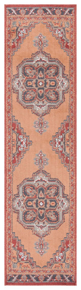 Safavieh Pyramid Pyr215P Rust/Ivory Grey Rug.