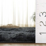 Safavieh Rainbow Shag 4'-0" x 6'-0" Rug in Dark Grey
