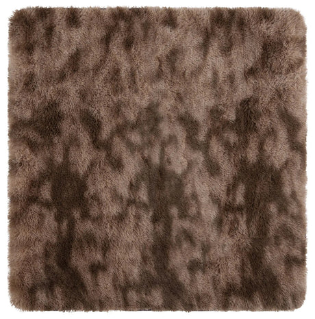Safavieh Rainbow Shag 4'-0" x 4'-0" Rug in Brown